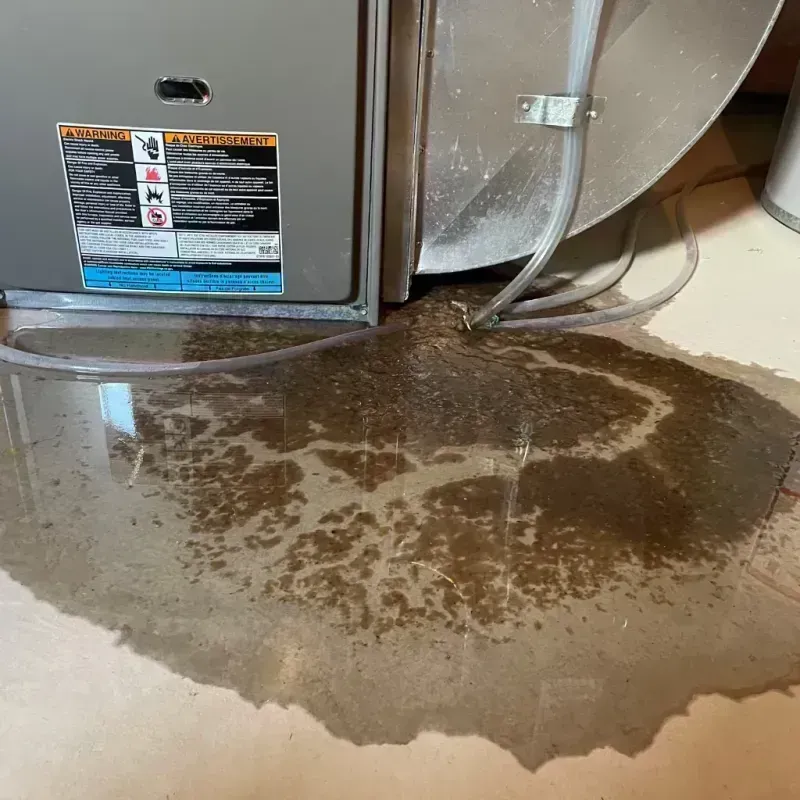 Appliance Leak Cleanup in Indian Rocks Beach, FL